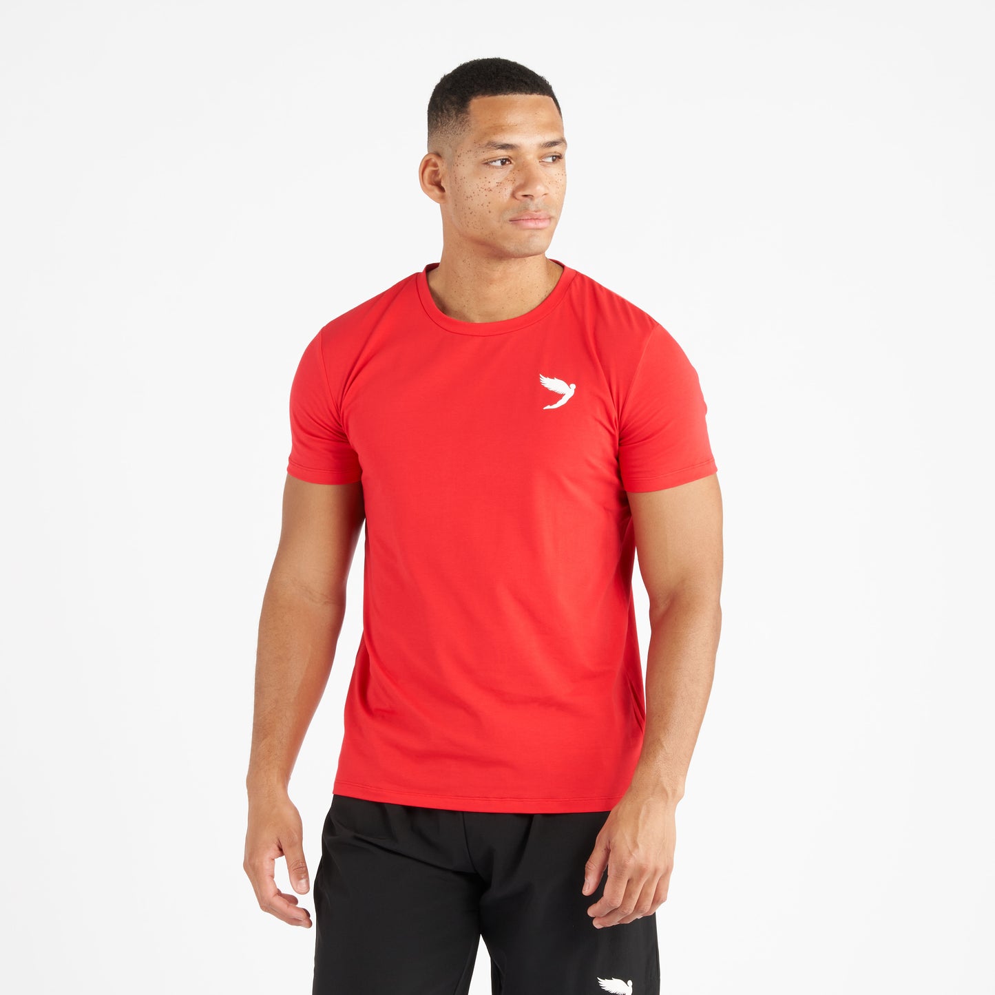 Small Logo Tee (5836569739428)