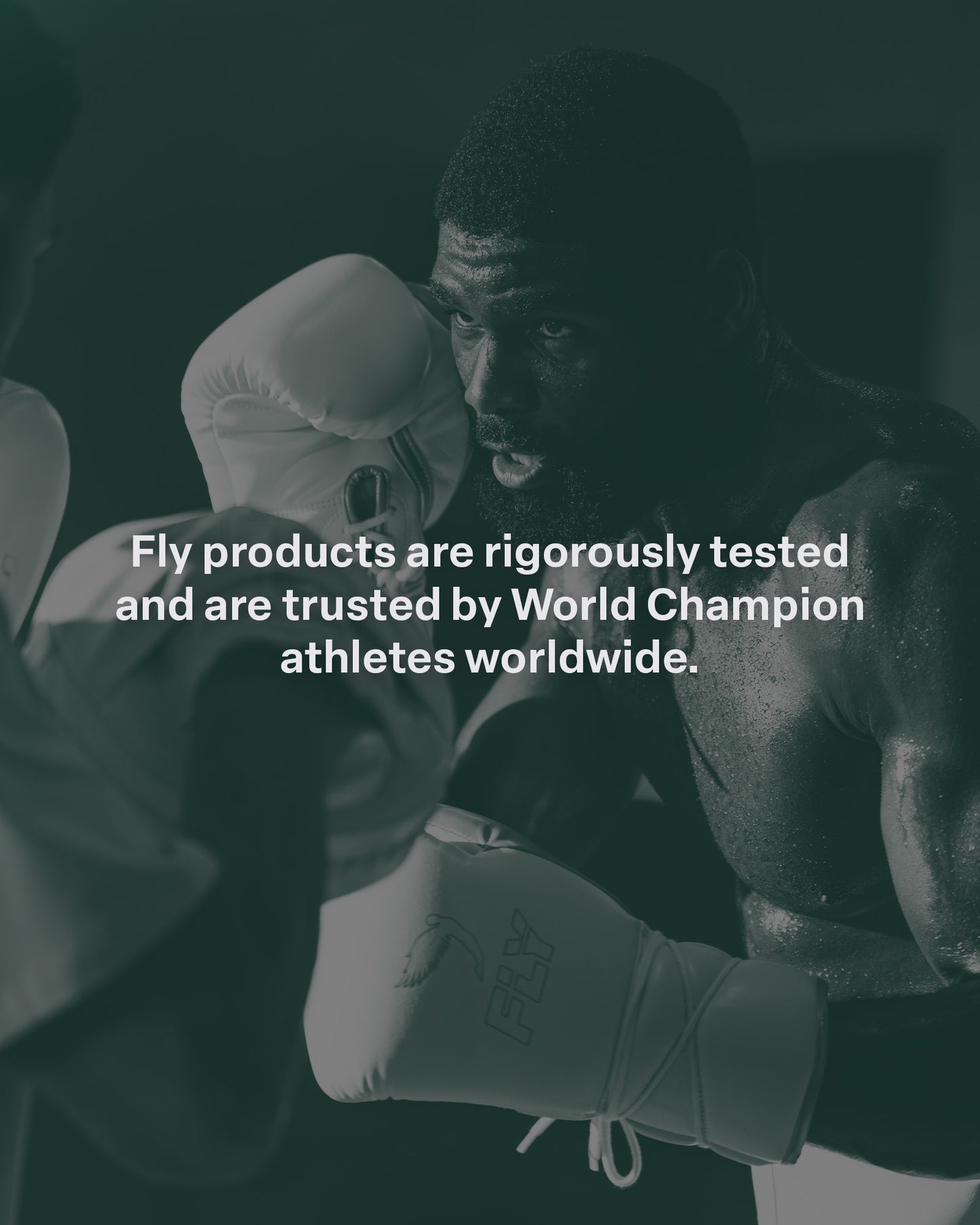 Superloop Pro X 2 Gloves