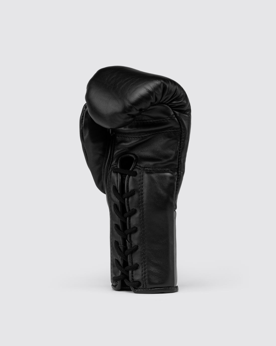 Fly KYO Fight Gloves boxing gloves view 3