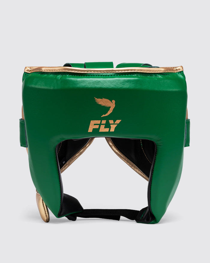 Open Face X Headguard