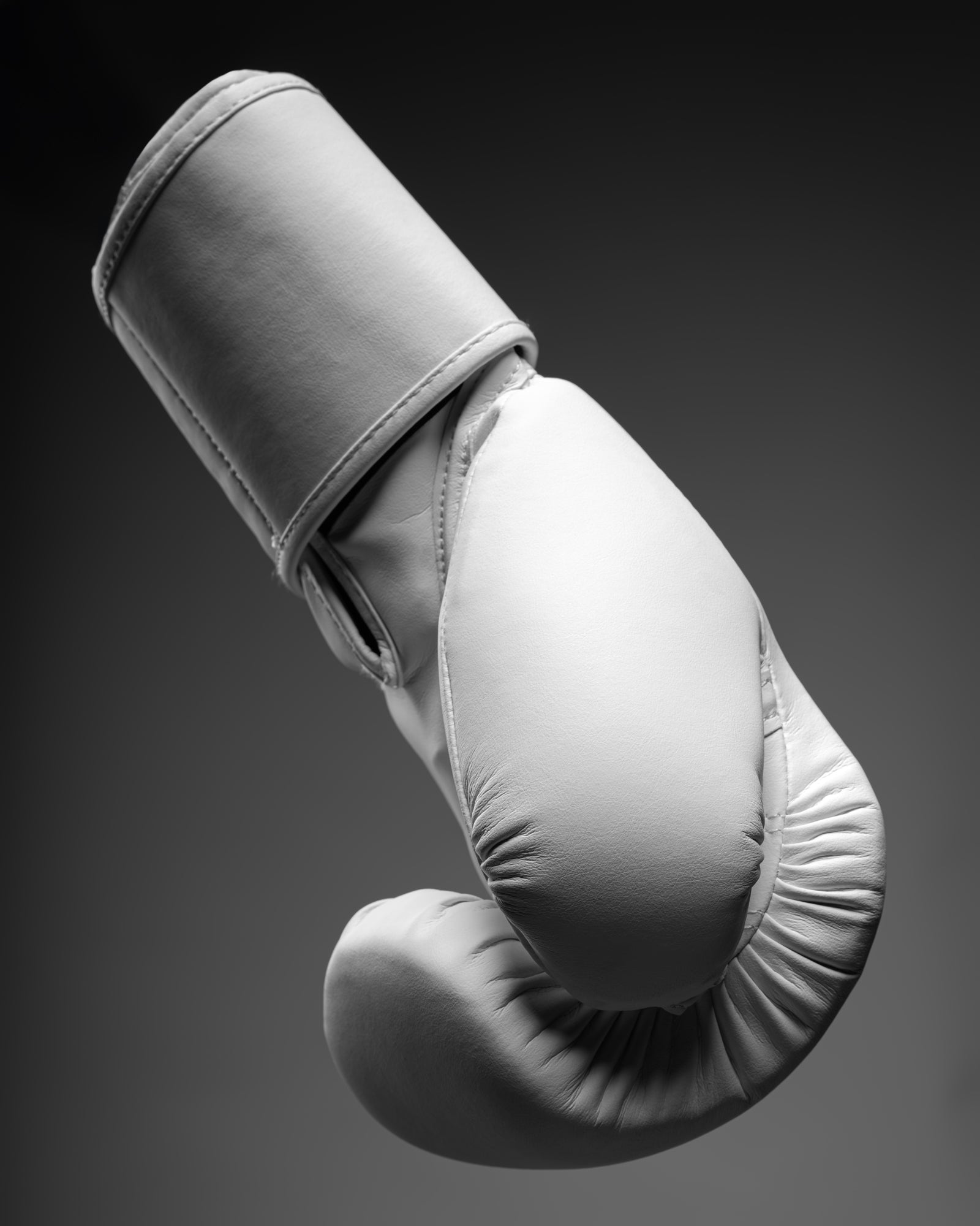 Fly Superloop Team Gloves boxing gloves view 3