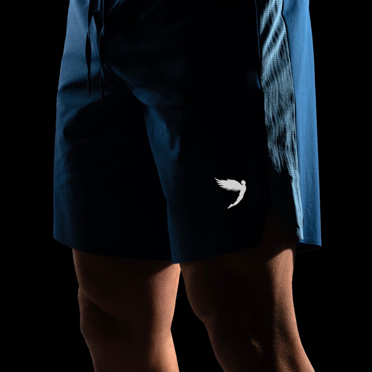 Tempo 2-1 Shorts Long Blue (8244517503228)